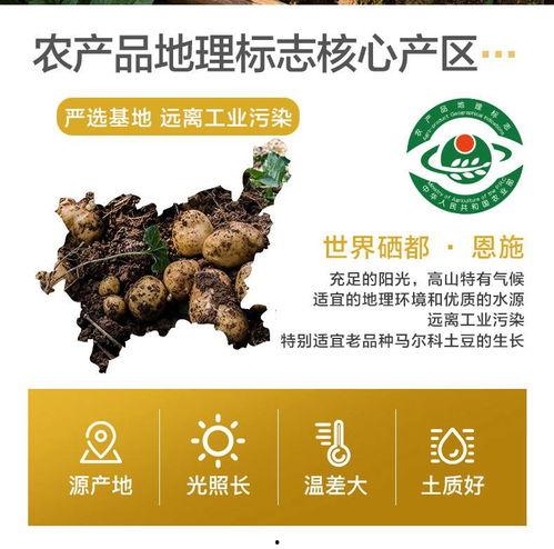 湖北恩施网红农产品品牌,绿色山珍，助力乡村振兴新篇章