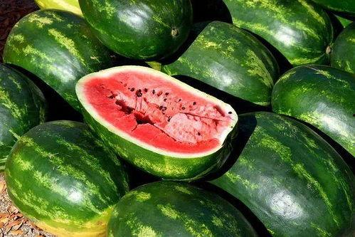 吃瓜图片高清分享,一场视觉与味蕾的双重盛宴