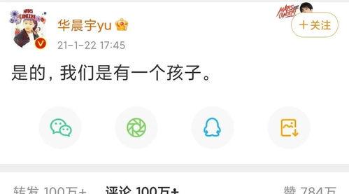 吃瓜娱乐圈文字版小说